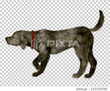 首輪を付けた黒い犬の水彩画 125538700