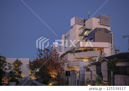 City Skyline at Sunset with Buildings and Evening Sky, Tokyo Dec 8 2024 125539317