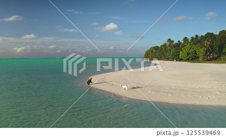 Man plays with his dog on a tropical beach with white sand and turquoise waters, surrounded by palm trees and a clear blue sky 125539469