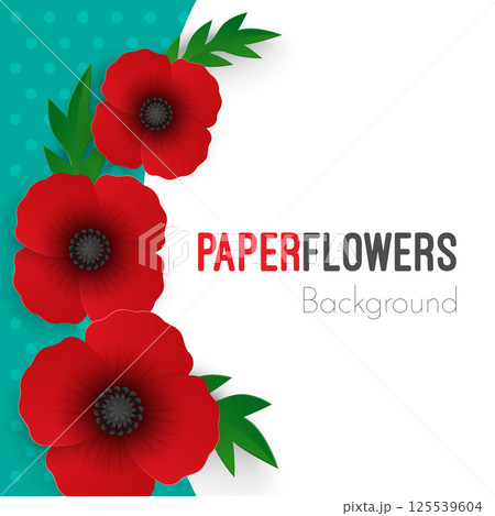 Flowers background with full blooming red poppies with green leaves Flowers background with full blooming red poppies with green leaves 125539604