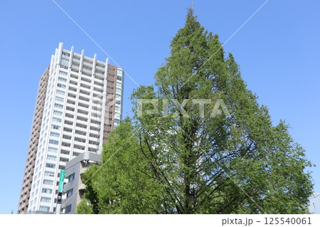 三鷹　街並み 125540061