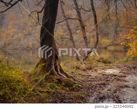 Plitvice Lakes in Croatia during autumn 125540092