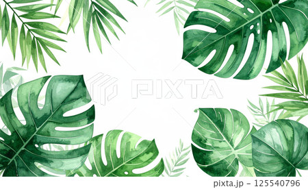 Lush tropical rainforest leaves create vibrant backdrop with flowing palm fronds and monstera in various shades of green, evoking serene and refreshing atmosphere 125540796