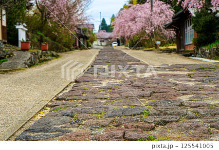 石段のある風景　大分市今市 125541005