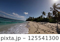 Tropical paradise beach pristine turquoise water white sand palm trees gentle waves peaceful serene vacation destination paradise relaxation luxury travel lifestyle escape 125541300