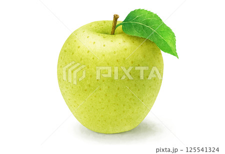りんご イラスト 水彩 リンゴ 125541324