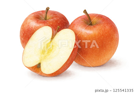 りんご イラスト 水彩 リンゴ 125541335