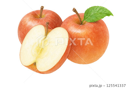 りんご イラスト 水彩 リンゴ 125541337