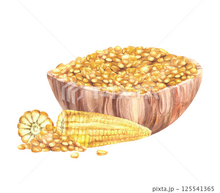 Maize kernels, whole and cut corncobs with Bowl sweet corn. Wooden dishes with Yellow pieces of corn cobs plant harvest. Watercolor painted illustration for canned food label Isolated from background. 125541365