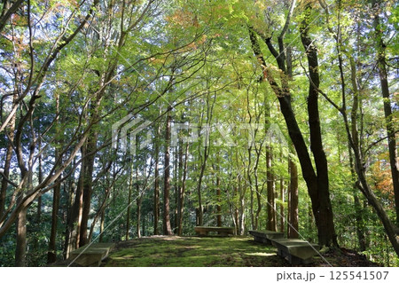 爽やか 休息広場 爽やか 休息広場 125541507