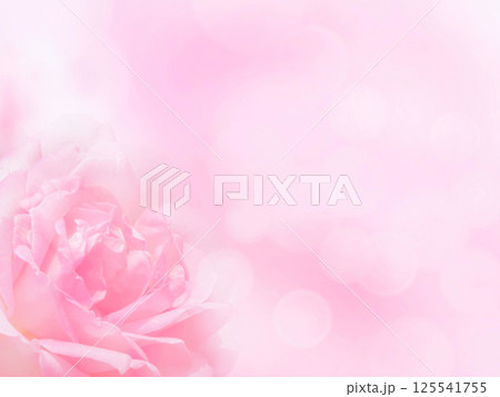 Pale pink rose in the corner of the blurred background. 125541755
