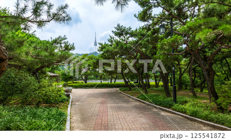 scenic view of a peaceful pathway lined with pine trees leading towards a pavilion with Namsan Seoul Tower visible in the background on a summer day scenic view of a peaceful pathway lined with pine trees leading towards a pavilion with Namsan Seoul Tower visible in the background on a summer day 125541872