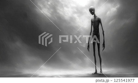 未確認生物 125541977