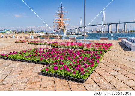 （富山県）海王丸パーク　花壇の準備 125542305