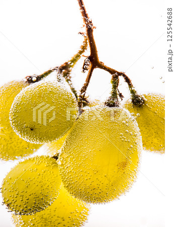 Ripe grapes are submerged in water, creating an effect of lightness and freshness. The grapes are covered with numerous tiny bubbles that add dynamism to the photo. The juicy clusters look appetizing Ripe grapes are submerged in water, creating an effect of lightness and freshness. The grapes are covered with numerous tiny bubbles that add dynamism to the photo. The juicy clusters look appetizing 125542688
