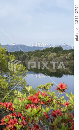 新緑の大山池 新緑の大山池 125542794