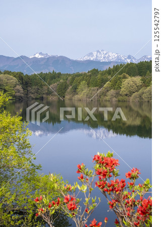 新緑の大山池 125542797
