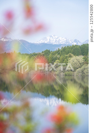 新緑の大山池 125542800