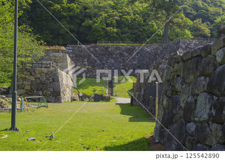 鳥取城跡の石垣 鳥取城跡の石垣 125542890