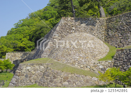 鳥取城跡の巻石垣 125542891