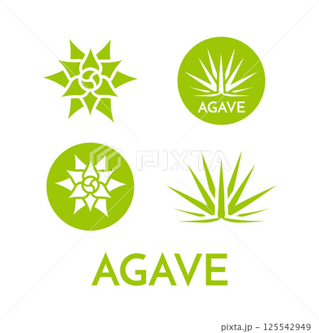 Agave plant green flower logo colorful vector illustration Agave plant green flower logo colorful vector illustration 125542949