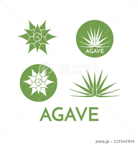 Agave plant green flower logo colorful vector illustration 125542954