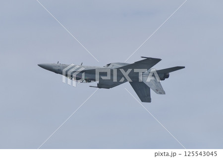 岩国基地航空ショーでデモフライトを行うアメリカ海軍のF/A-18F　スーパーホーネット 125543045