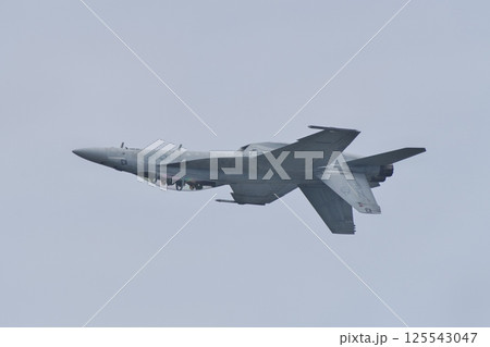岩国基地航空ショーでデモフライトを行うアメリカ海軍のF/A-18F　スーパーホーネット 125543047
