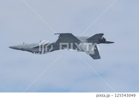 岩国基地航空ショーでデモフライトを行うアメリカ海軍のF/A-18F スーパーホーネット 岩国基地航空ショーでデモフライトを行うアメリカ海軍のF/A-18F スーパーホーネット 125543049