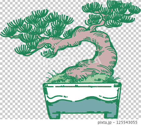 松樹盆景的插圖 125543055