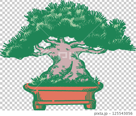 松樹盆景的插圖 125543056