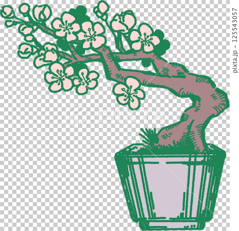 梅花盆景插圖 125543057