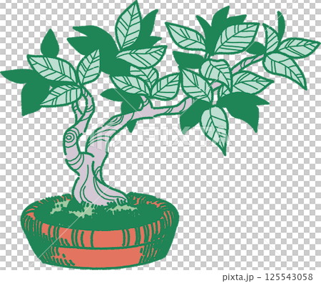 Illustration of a bonsai tree 125543058