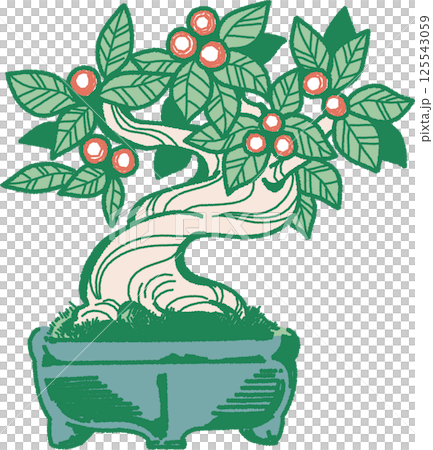 葫蘆樹盆景插圖 125543059