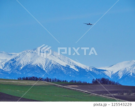 十勝連峰バックに着陸体制ヨシ 125543229