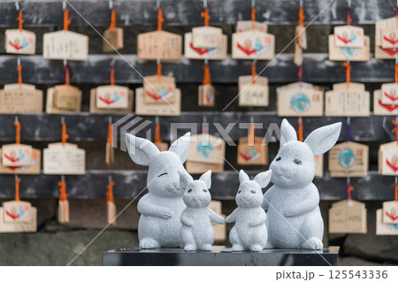 【出雲大社 白兎】 【出雲大社 白兎】 125543336