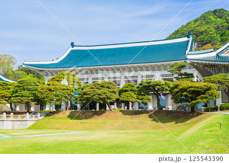 ソウル　韓国大統領府　青瓦台本館 125543390