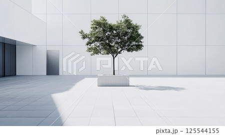 Small tree growing in a white rectangular pot is placed in the middle of a white tiled square of a modern minimalist building with large windows and a door 125544155