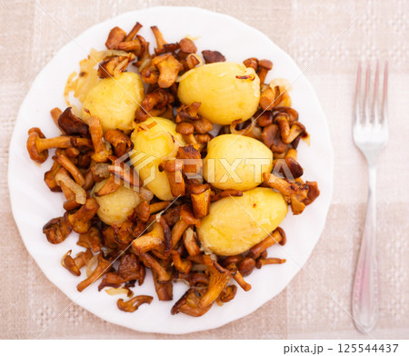 Delicious fried chanterelles with new potatoes on a white plate top view 125544437