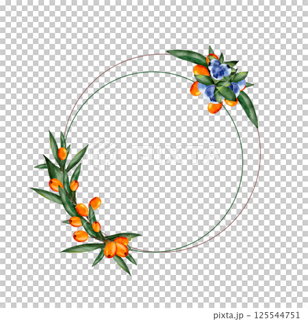Sea buckthorn. Berries with leaves. Hand drawn watercolor illustration. Round frame with place for text. Botanical. Isolated on white background. Template for design, print, textile. Sea buckthorn. Berries with leaves. Hand drawn watercolor illustration. Round frame with place for text. Botanical. Isolated on white background. Template for design, print, textile. 125544751
