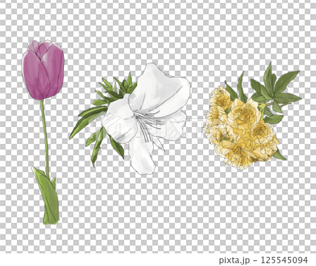 Spring flowers (tulips, azaleas, bank roses) 125545094
