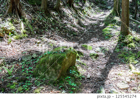 【国指定史跡】白旗城 登山道 兵庫県赤穂郡上郡町 【国指定史跡】白旗城 登山道 兵庫県赤穂郡上郡町 125545274