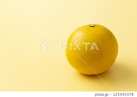 黄色背景に黄金柑 125545378