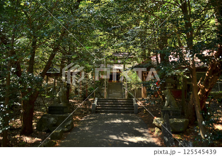 埼玉県寄居町風布のパワースポット 釜山神社 埼玉県寄居町風布のパワースポット 釜山神社 125545439
