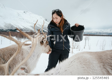 Feeding Reindeer in a Winter Landscape Feeding Reindeer in a Winter Landscape 125545465