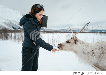 Feeding Reindeer in a Winter Landscape Feeding Reindeer in a Winter Landscape 125545466