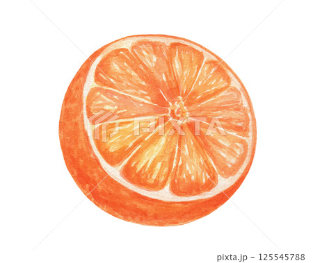 Watercolor half of orange fruit, isolated food illustration 125545788