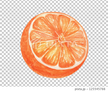 Watercolor half of orange fruit, isolated food illustration 125545788