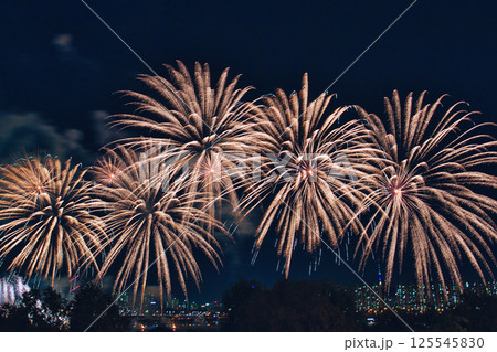 カラフルな花火 125545830