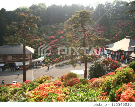 塩船観音の護摩堂と信徒会館（東京都青梅市） 125546030